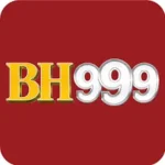 BH999 game icon